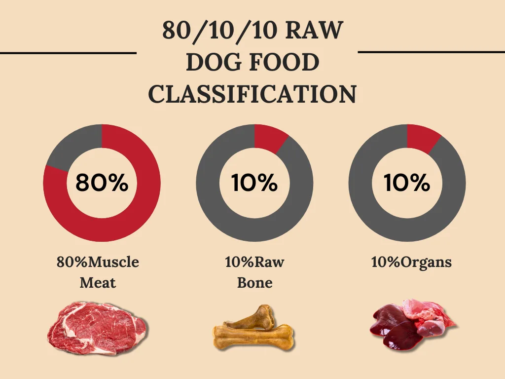 80/10/10 raw dog food infographic