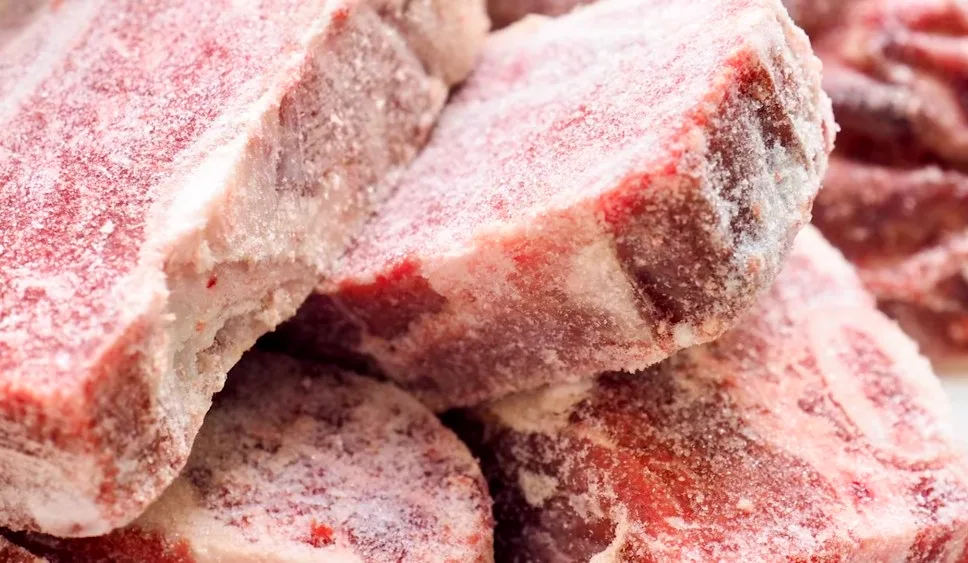 A guide to freezing defrosting and refreezing raw dog food