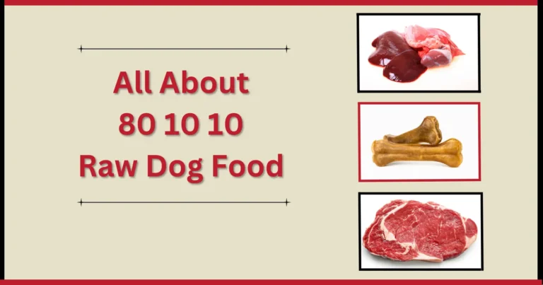 All About 80 10 10 Raw Dog Food