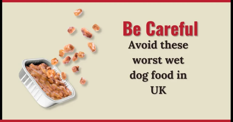 Avoid these worst wet dog food in UK