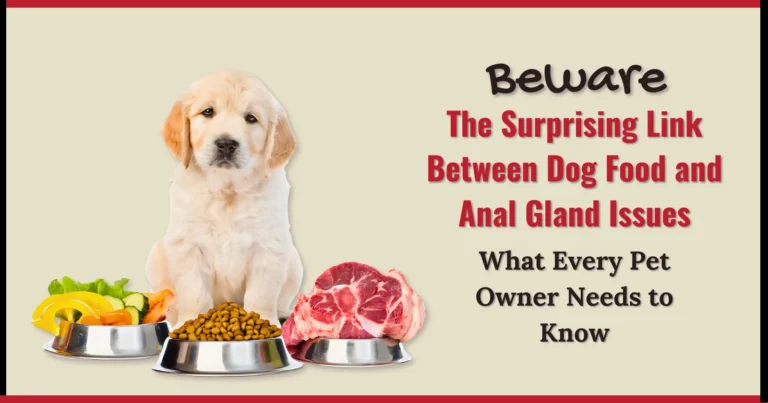 Beware The Surprising Link Between Dog Food and Anal Gland Issues What Every Pet Owner Needs to Know