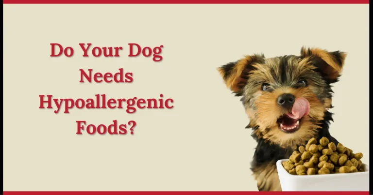 Do your dog needs hypoallergenic foods