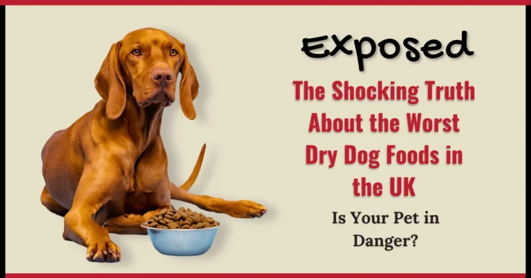 Exposed The Shocking Truth About the Worst Dry Dog Foods in the UK Is Your Pet in Danger