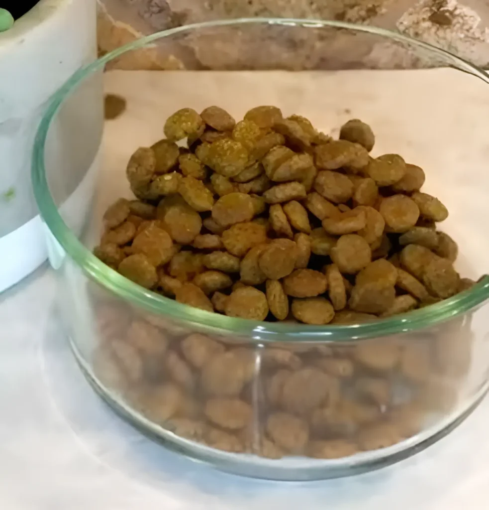 kibble in container