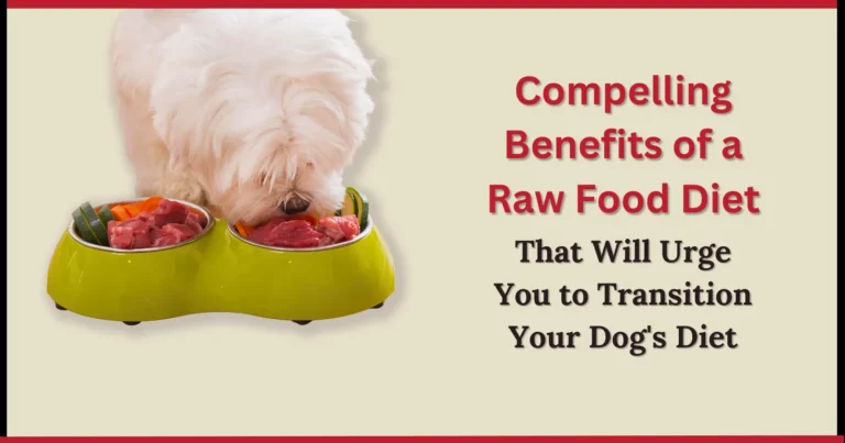 Compelling Benefits of a Raw Food Diet
