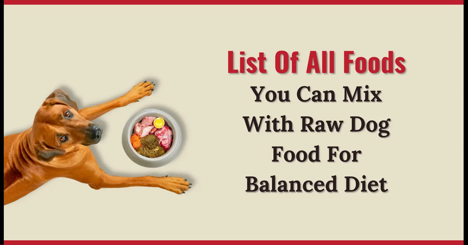 dogs-and-meat-list-of-healthy-protein-rich-and-balanced-meats