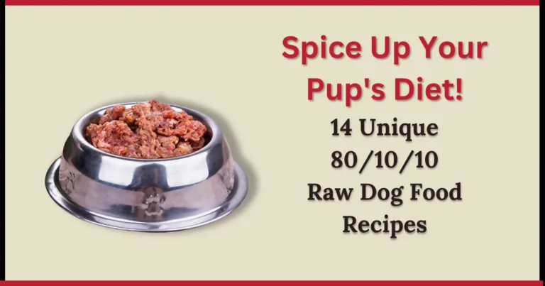 Spice Up Your Pups Diet 14 Unique 80 10 10 Raw Dog Food Recipes