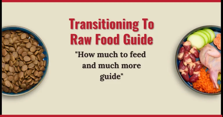 a bowl of raw food Transitioning To Raw Food Guide