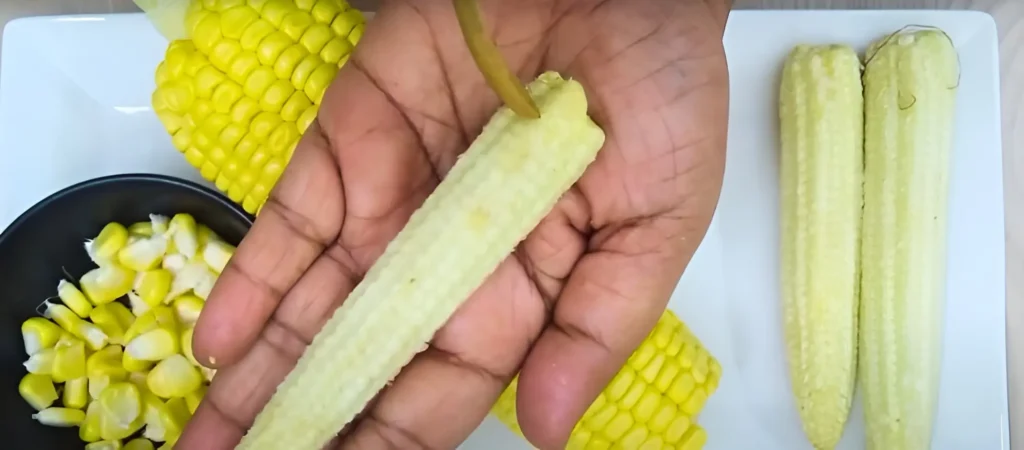 A dog owner shows that baby corn is also a good choice.