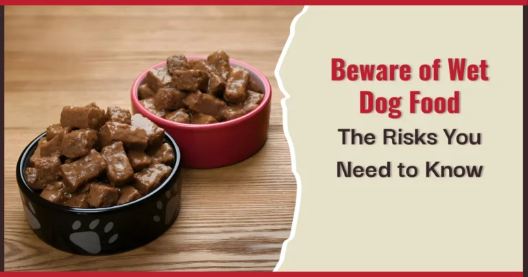 Wet dog food disadvantages