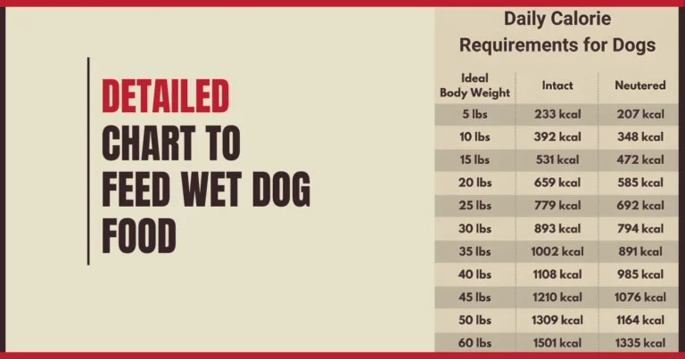 wet dog food feeding chart