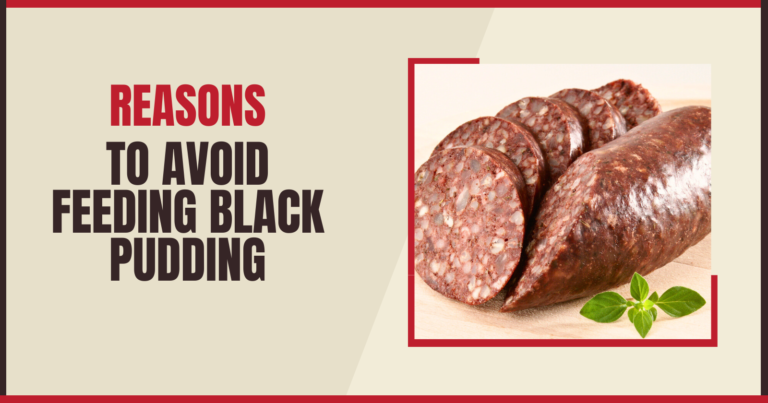 Reasons to avoid feeding Black pudding to dogs