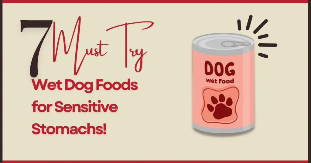 Wet Dog Foods That are for Sensitive Stomachs