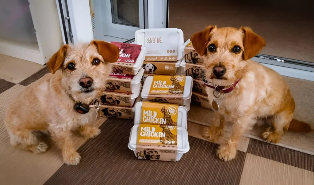 two dogs standing next to a stack of dog food