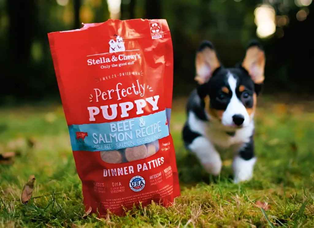 A dog behind the pack of Perfectly puppy chicken and salmon recipe by Stella & Chewy 