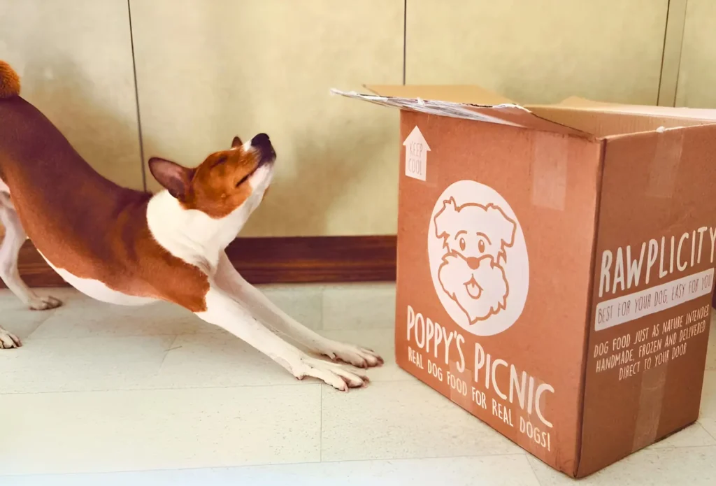 Dog with box of Poppy’s Picnic raw dog food box