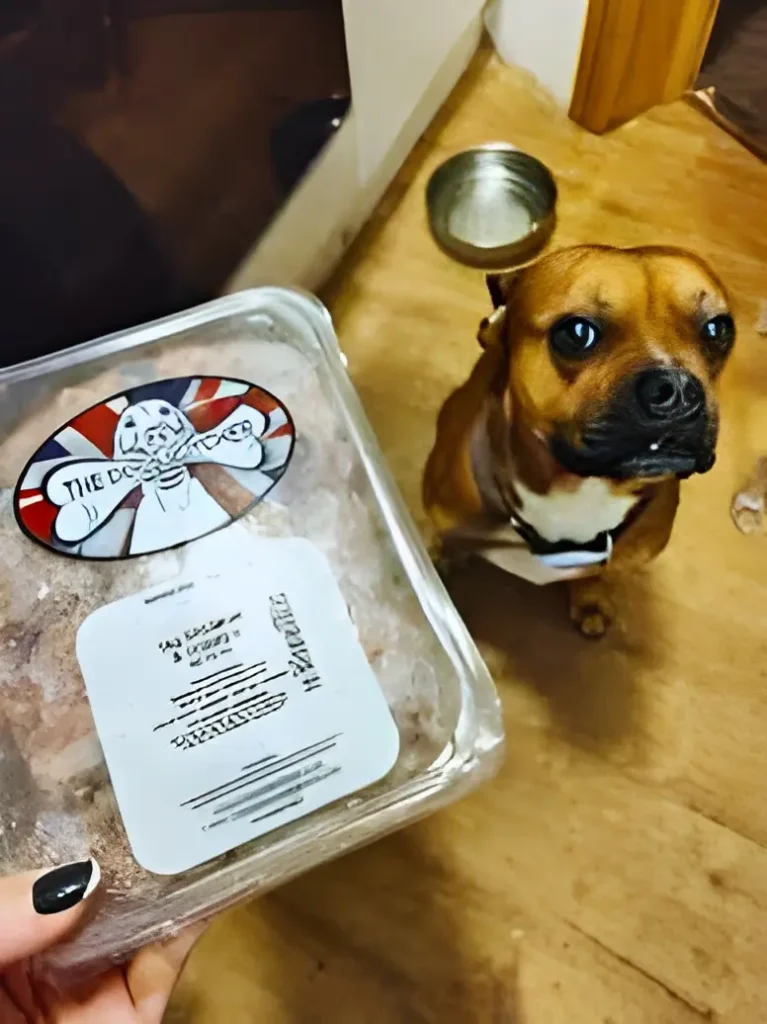 dog standing next to a person holding a container of food