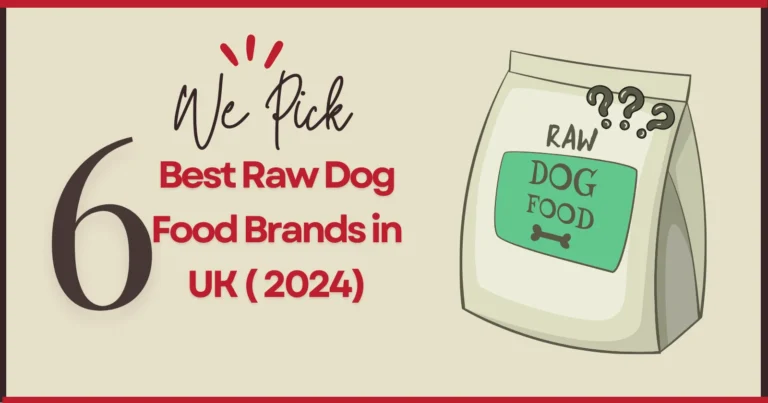 6 best raw dog Food Brands in UK ( 2024)