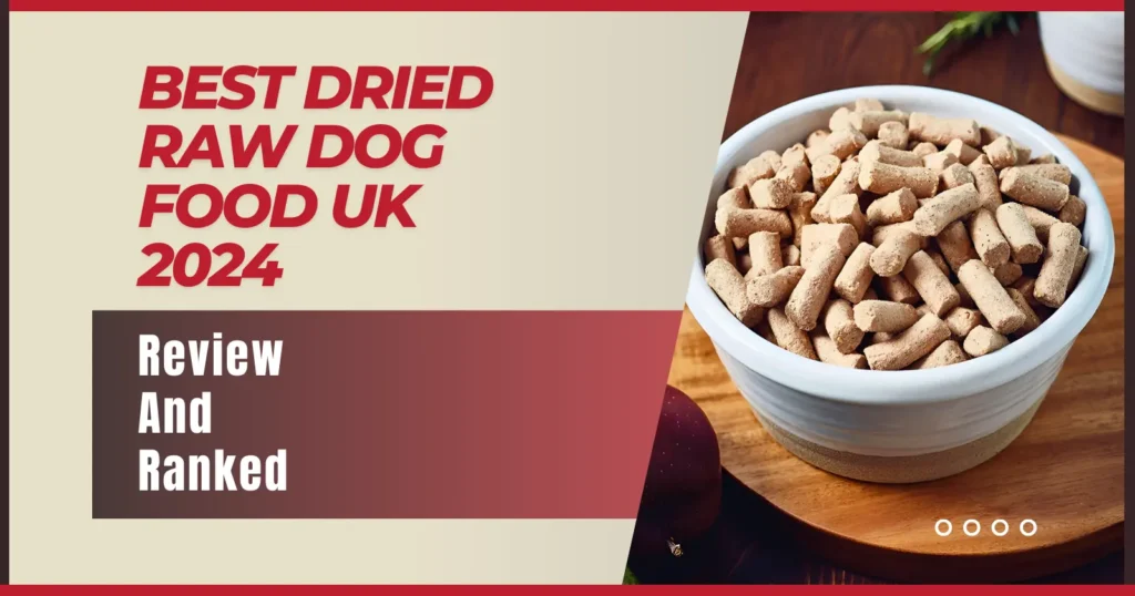Best Dried Raw Dog Food UK 2024: Review & Ranked