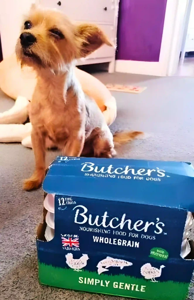 a small dog sitting next to a box of butcher's whole grain dog food