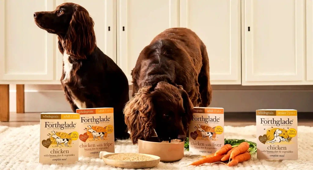 Two dogs eating Forthglade Chicken, lamb, & Beef complementary wet dog food