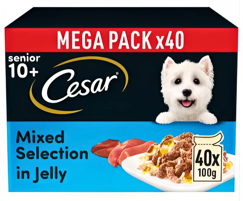 Box of Cesar Senior 10+ wet dog food in jelly