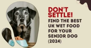 BEST UK Wet Food for Your Senior Dog (2024)