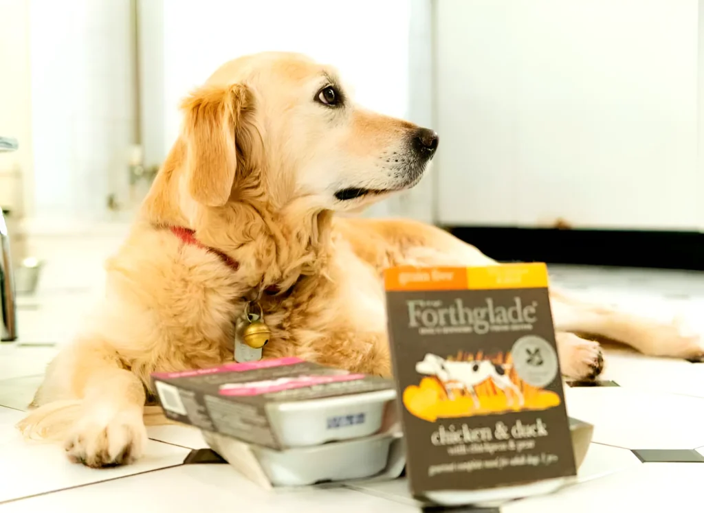 a dog laying on the floor next to a Forthglade Senior wet dog food
