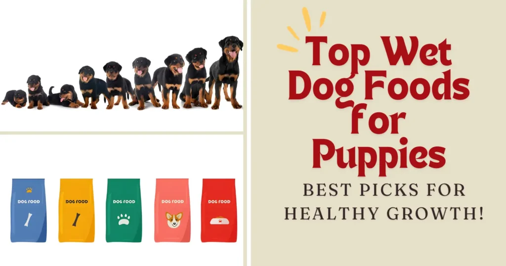 Top Wet Dog Foods for Puppies Best Picks for Healthy Growth